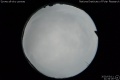 2020/3/11 21:34’26”