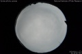 2020/3/11 21:35’40”