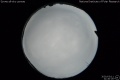 2020/3/11 21:40’26”