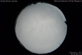 2020/3/11 21:54’26”