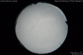 2020/3/11 21:55’26”