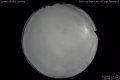2020/3/13 20:55’10”