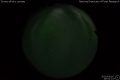 2020/3/16 19:51’22”