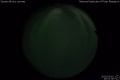 2020/3/16 19:51’38”