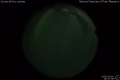 2020/3/16 19:52’38”