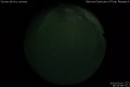 2020/3/16 19:55’38”