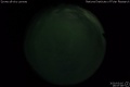 2020/3/16 19:57’38”