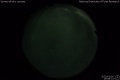2020/3/16 19:58’22”