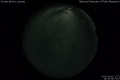 2020/3/16 20:19’38”