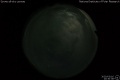 2020/3/16 20:30’38”