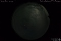 2020/3/16 20:31’08”