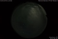 2020/3/16 20:31’38”
