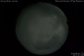 2020/3/16 23:17’30”