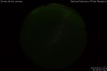 2020/3/19 21:30’10”