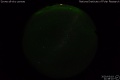 2020/3/19 21:38’10”