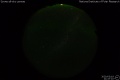 2020/3/19 21:47’10”