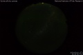 2020/3/19 21:50’26”