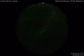 2020/3/19 21:50’40”
