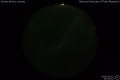2020/3/19 21:54’10”