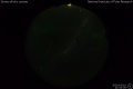 2020/3/19 21:54’26”