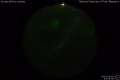 2020/3/19 21:55’26”