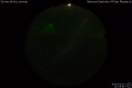 2020/3/19 21:55’40”