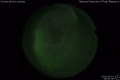 2020/3/31 00:50’36”