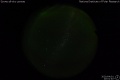 2020/4/1 20:01’40”