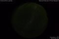 2020/4/1 20:03’26”