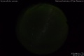 2020/4/1 20:03’40”