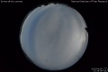2020/4/6 17:35’36”