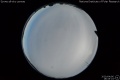 2020/4/6 18:45’24”