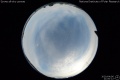 2020/4/6 21:00’12”