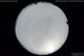 2020/4/6 21:48’42”