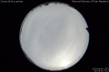 2020/4/6 21:54’42”