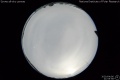2020/4/6 21:55’58”