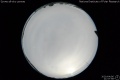2020/4/6 21:57’58”