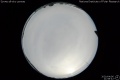 2020/4/6 21:58’42”