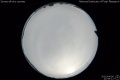 2020/4/6 21:59’12”