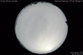 2020/4/6 21:59’58”