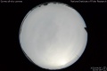 2020/4/6 22:00’28”