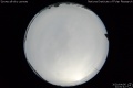 2020/4/6 22:00’42”