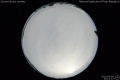2020/4/6 22:01’12”