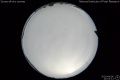 2020/4/6 22:03’12”