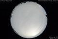 2020/4/6 22:04’12”