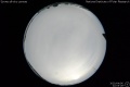 2020/4/6 22:05’28”