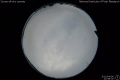 2020/4/6 22:58’30”