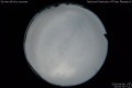 2020/4/6 23:00’30”