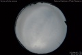 2020/4/6 23:00’44”