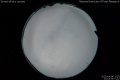 2020/4/6 23:05’30”